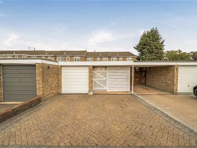 Picture 16